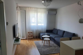 Apartman 44